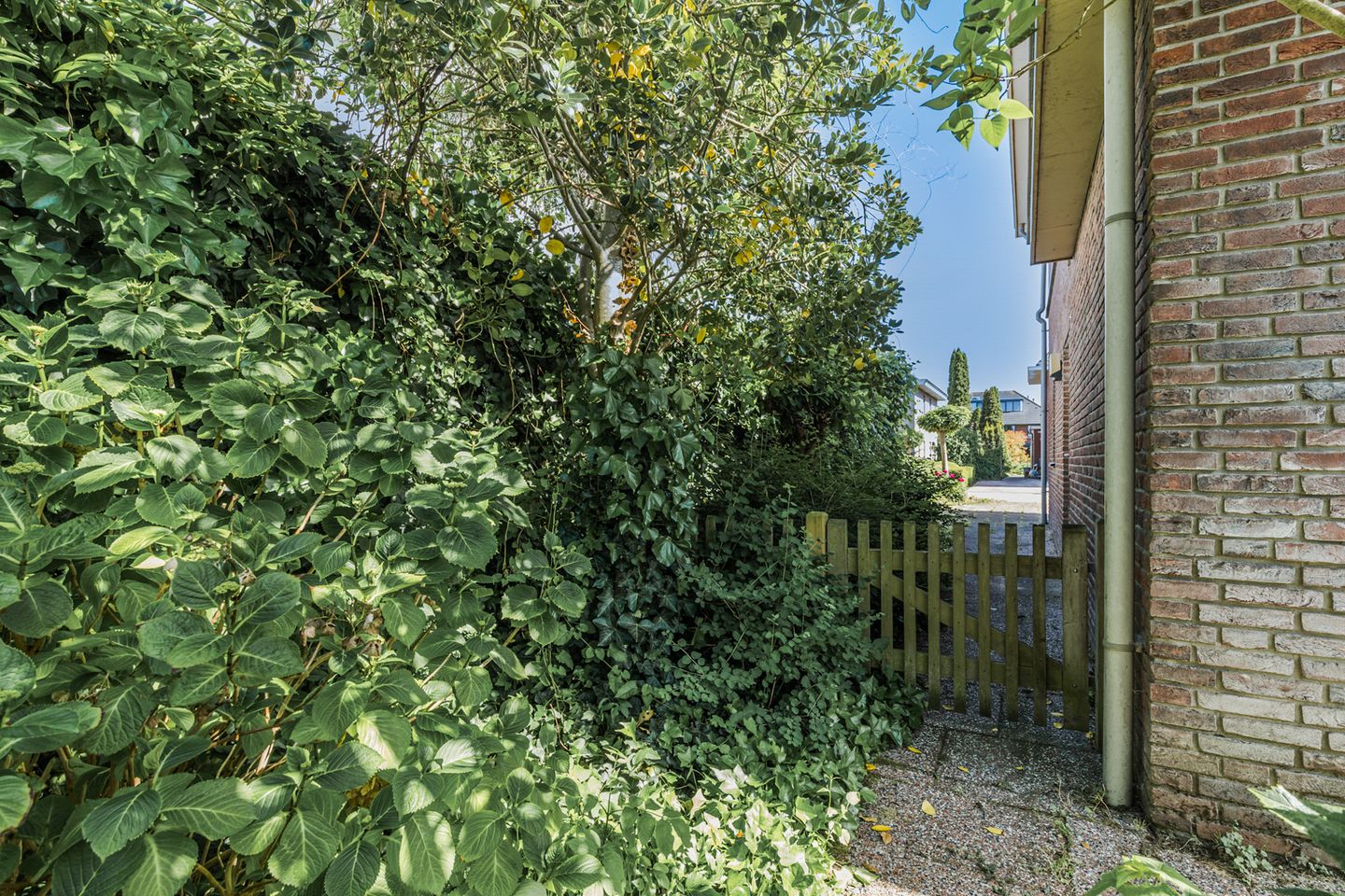 Foto 44 van Monnikskap 3