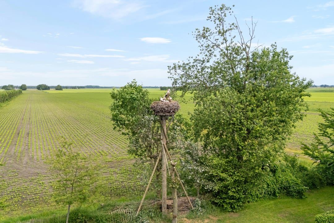 Foto 128 van Dokter Larijweg 136