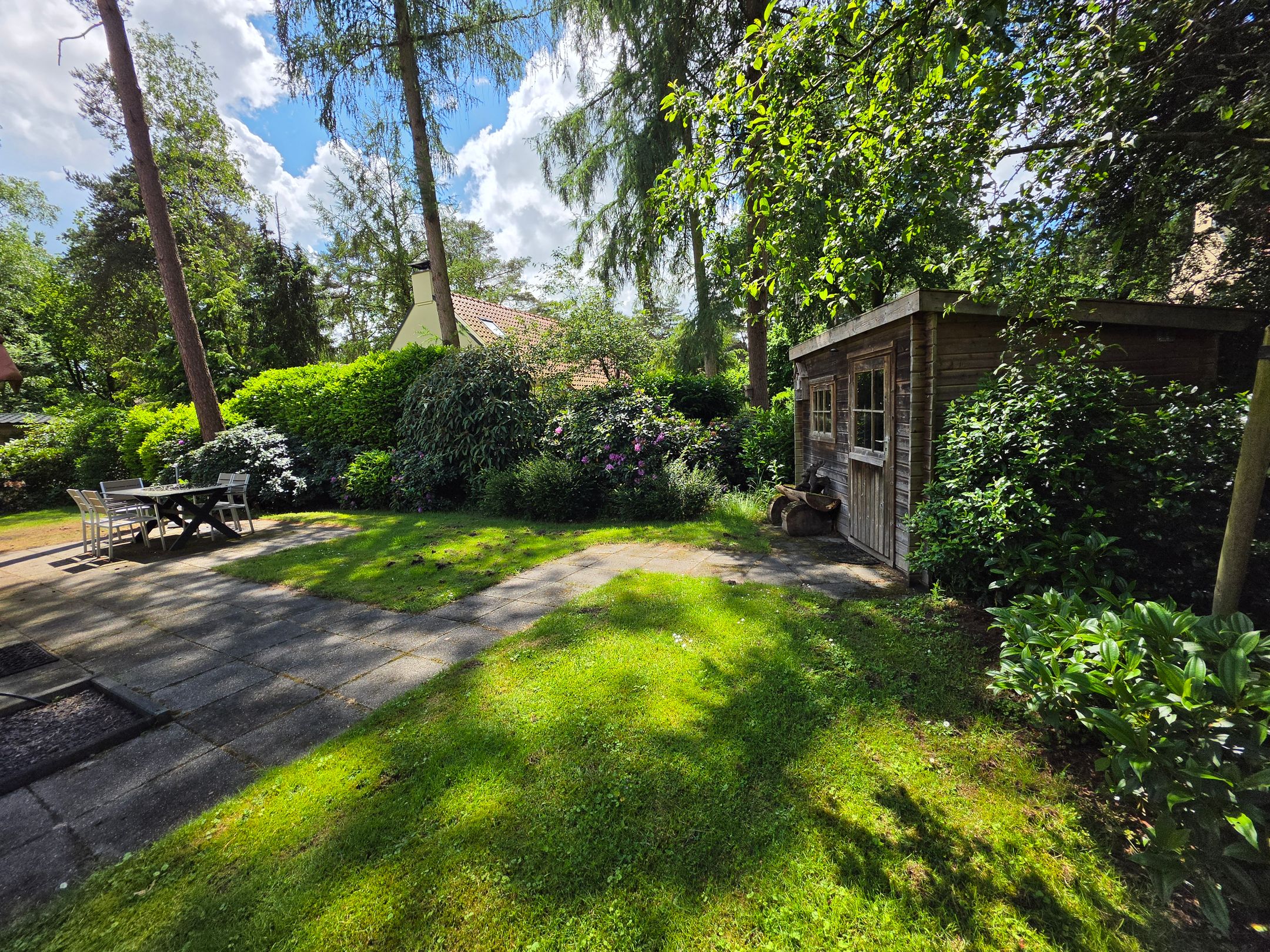 2-bedroom freehold villa in Diever — photo 3 of 5