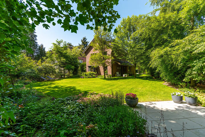 Foto 3 van Traaij 287