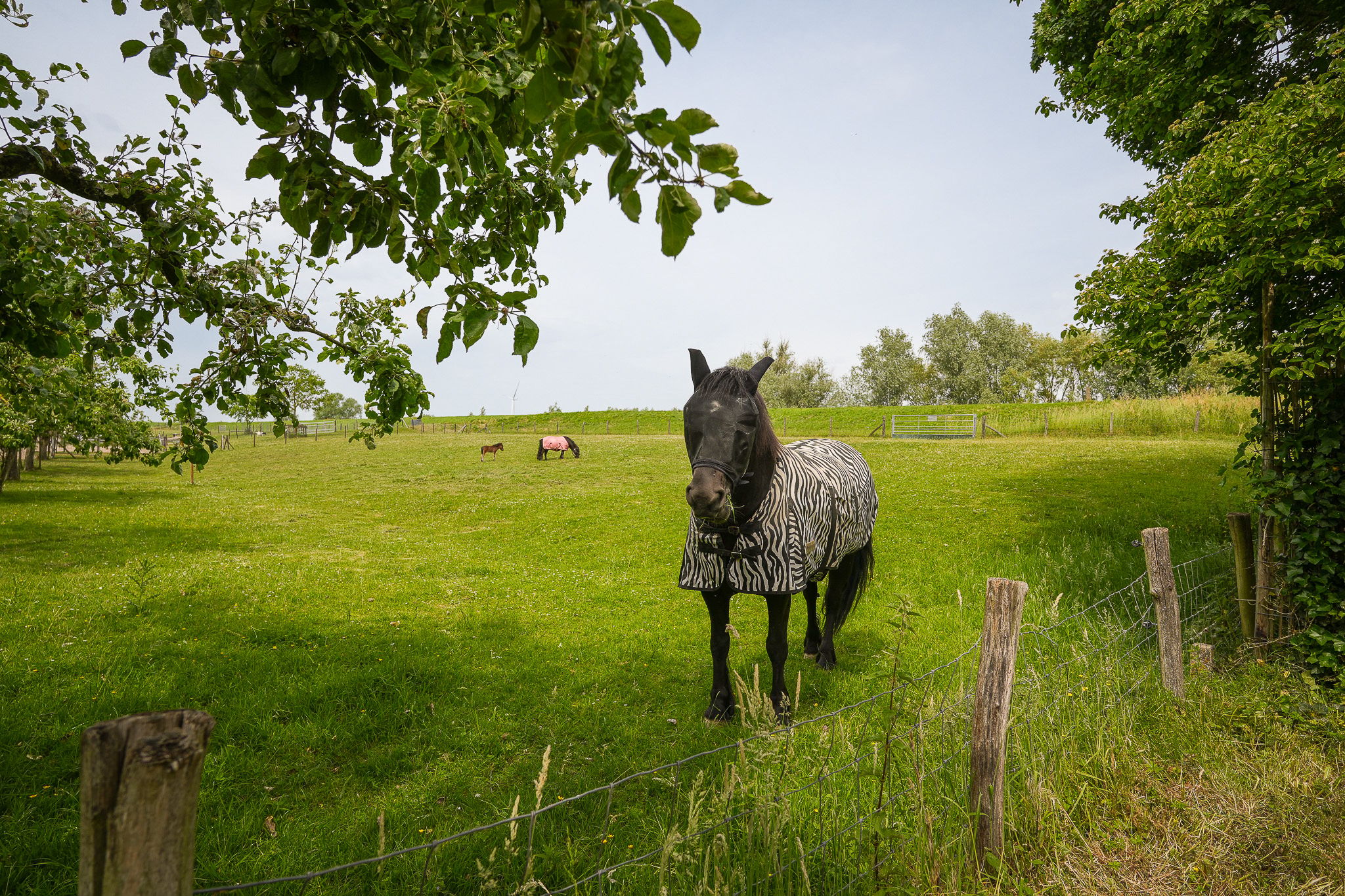 Photo 51 of Lekdijk West 9