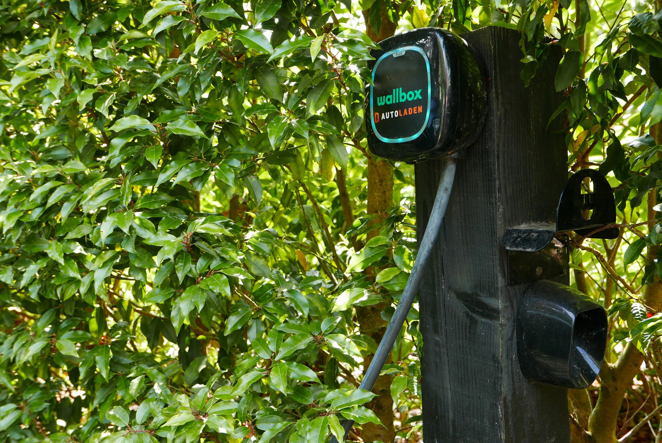 Photo 39 of Hessenweg 331