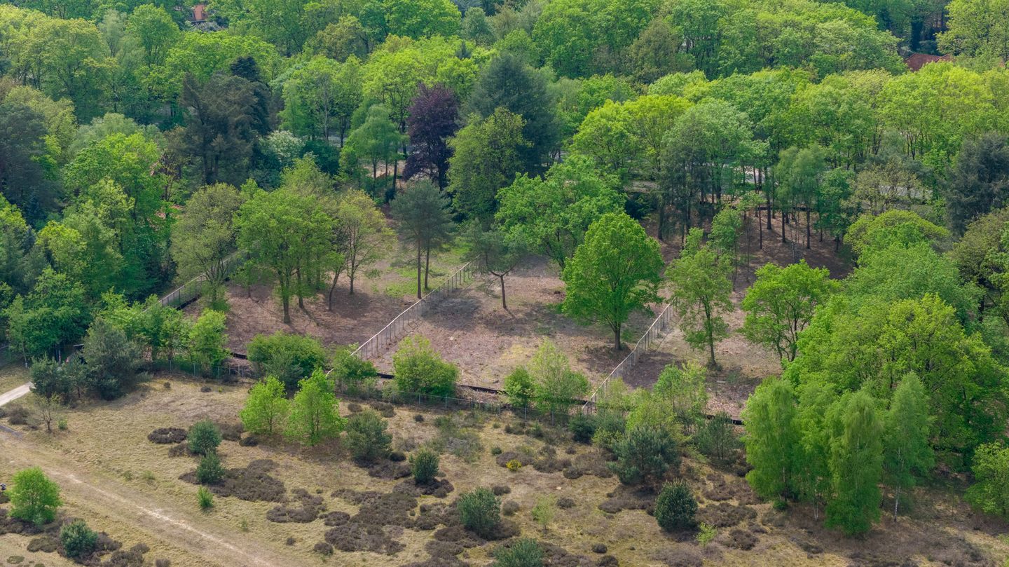 Foto 4 van Dolderseweg