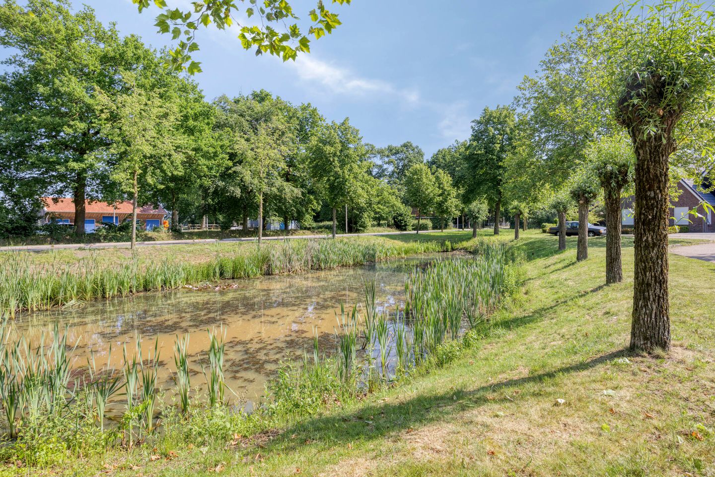 Photo 44 of Kemerij 30