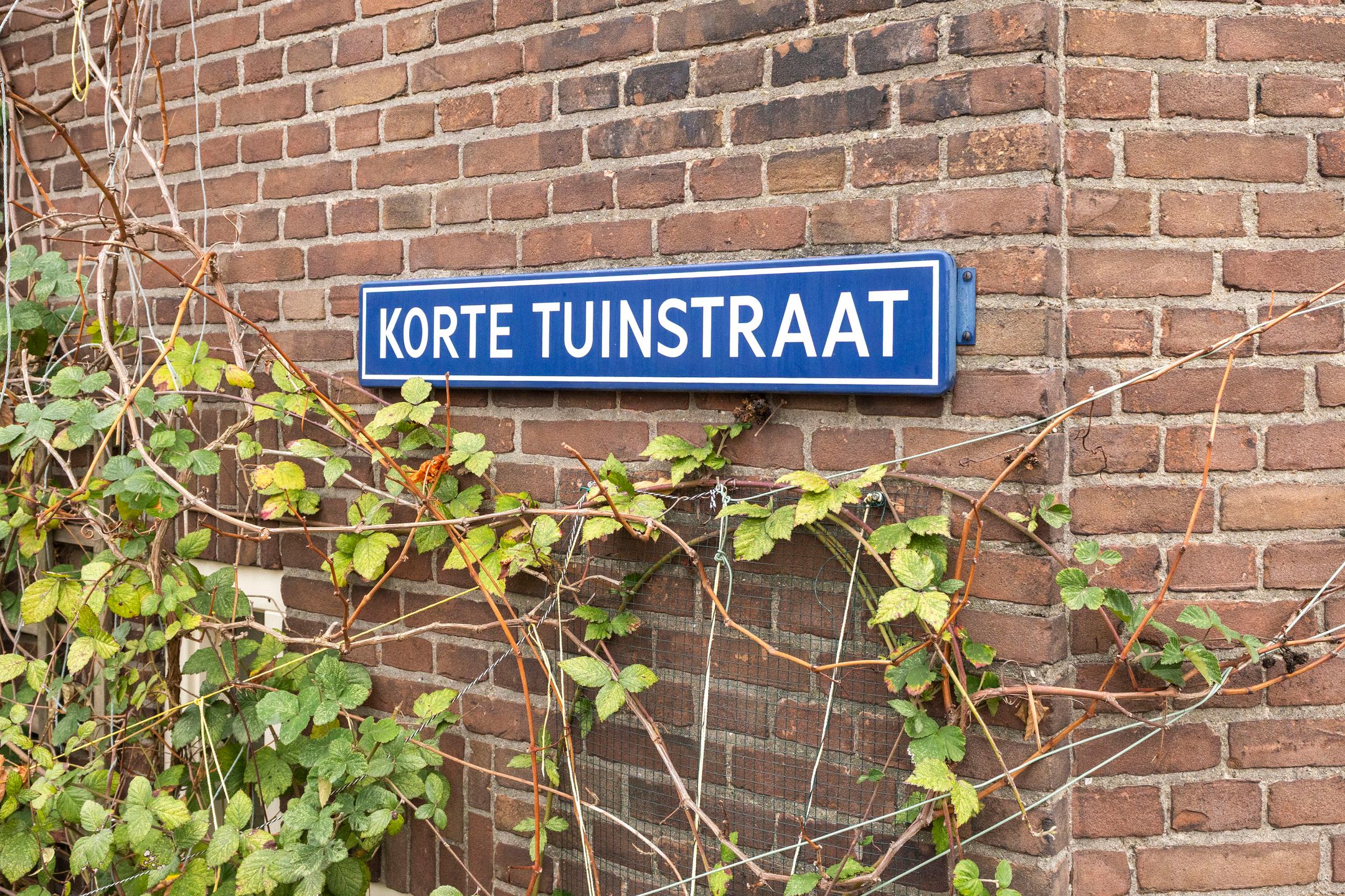Foto 27 van Korte Tuinstraat 16