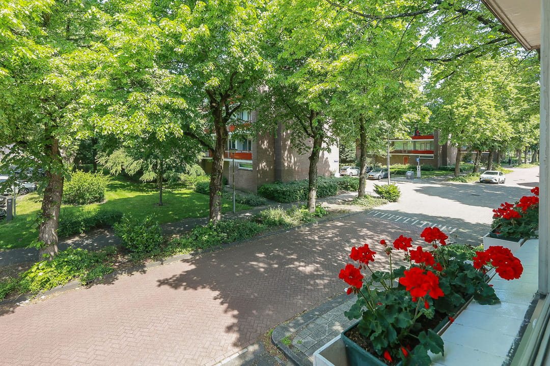 Spacious Corner Home with Expansion Potential in Green Amsterdam North — 17