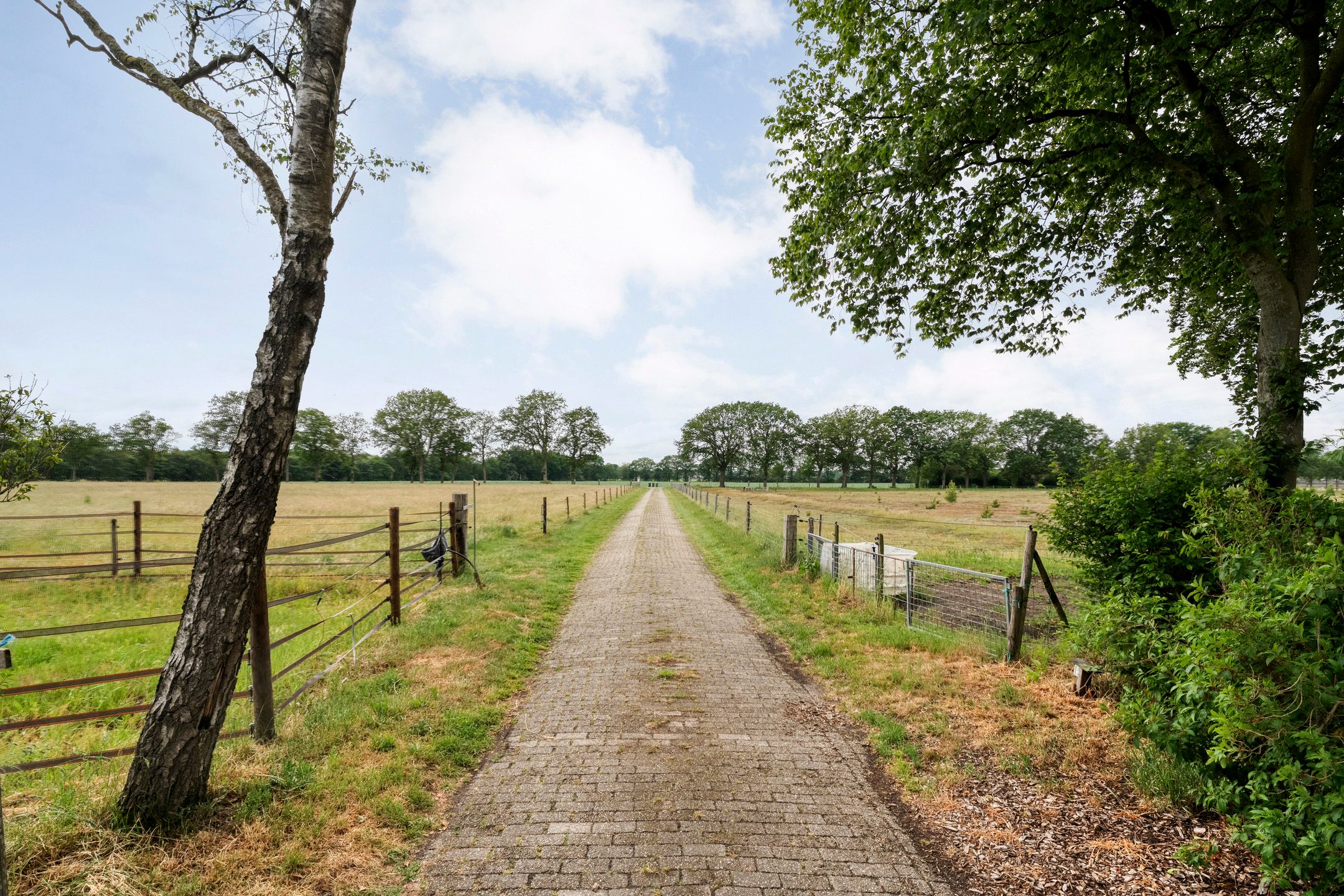 Photo 9 of Appelschaseweg 2