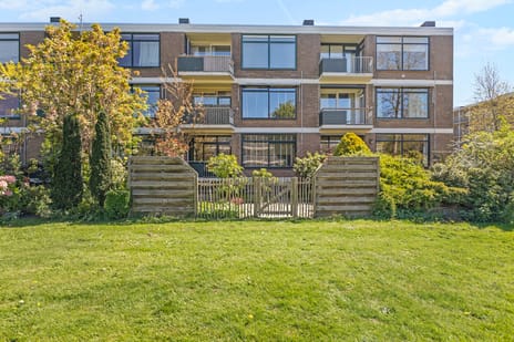 Reviusstraat thumbnail