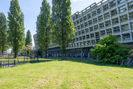 Dirk Vreekenstraat thumbnail