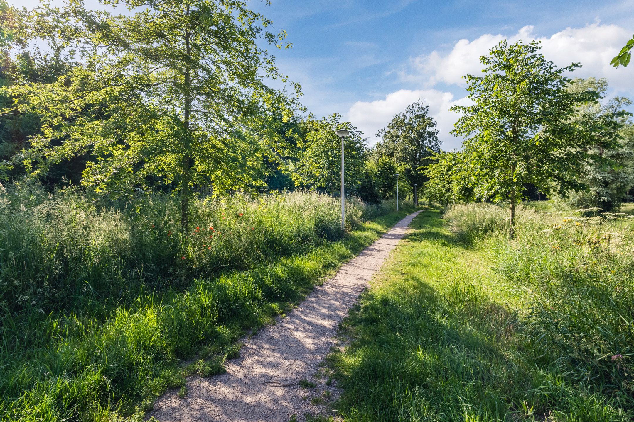Photo 42 of Lankforst 5601