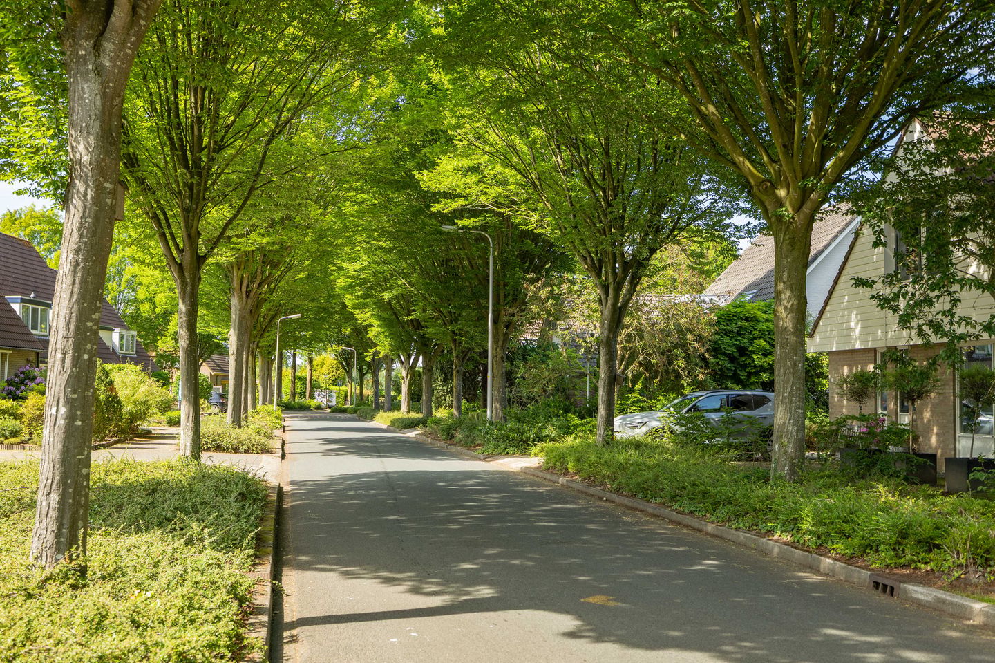 Foto 44 van Het Koeland 1