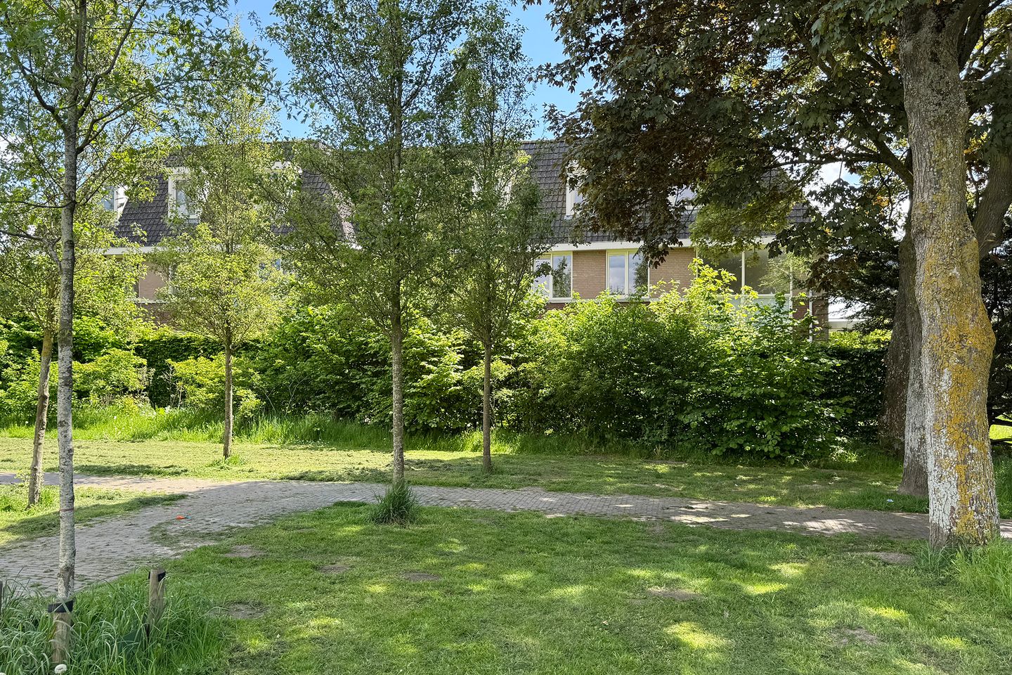 Photo 50 of Grintweg 39