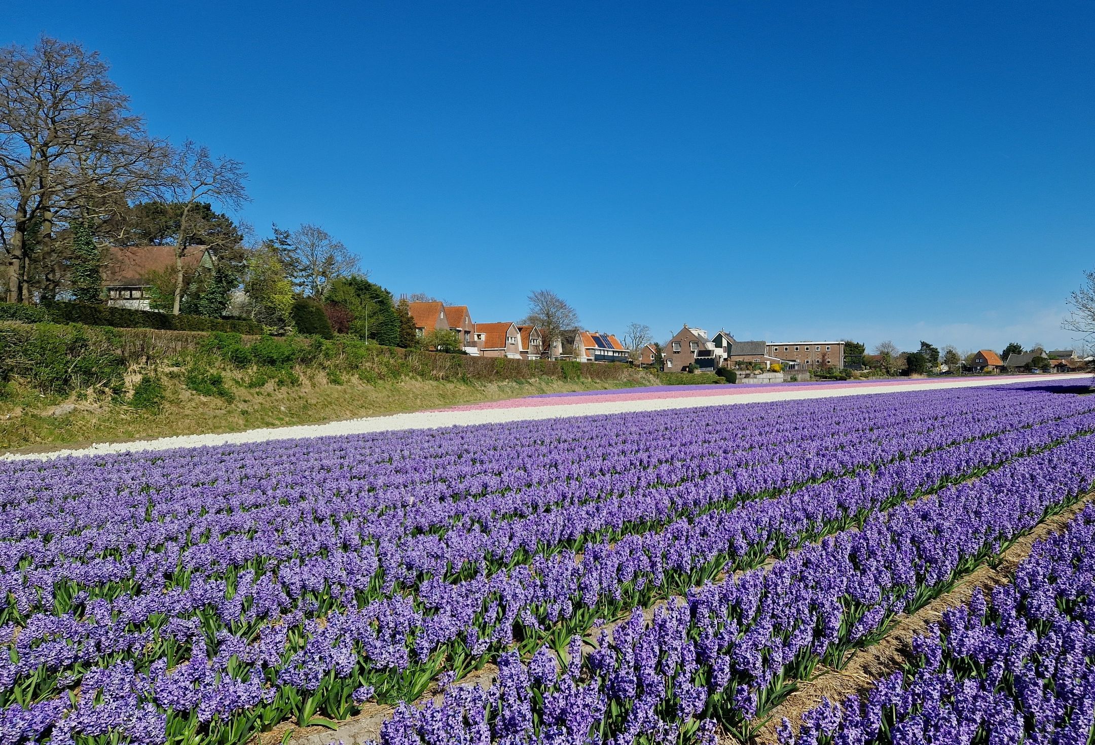 Foto 45 van Kennemerbeekweg 2-A