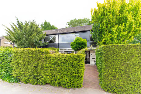 van Hamelstraat thumbnail