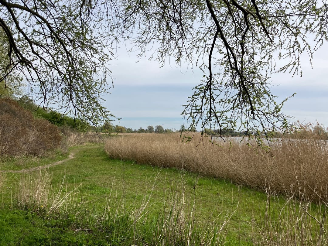 Photo 31 of Waddenstraat 681
