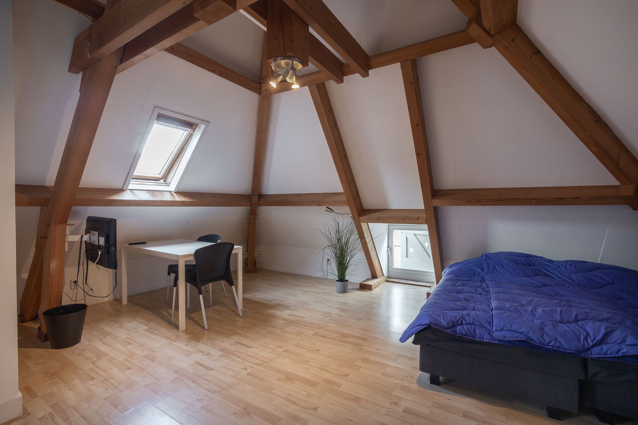 Historic Town Farm near Hotel De Wereld in Wageningen — 45