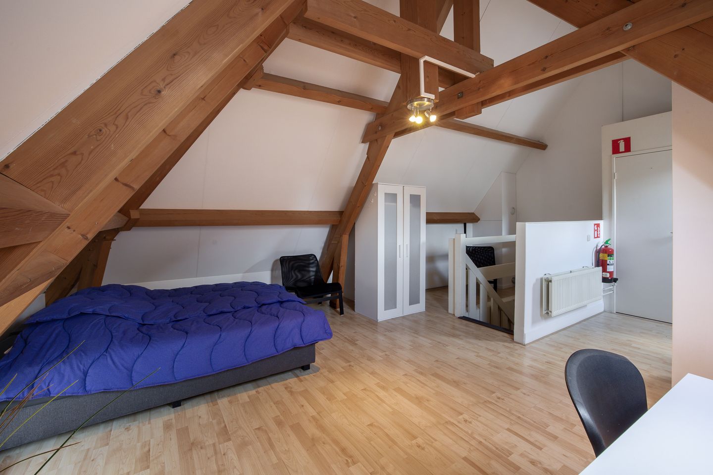 Historic Town Farm near Hotel De Wereld in Wageningen — 44