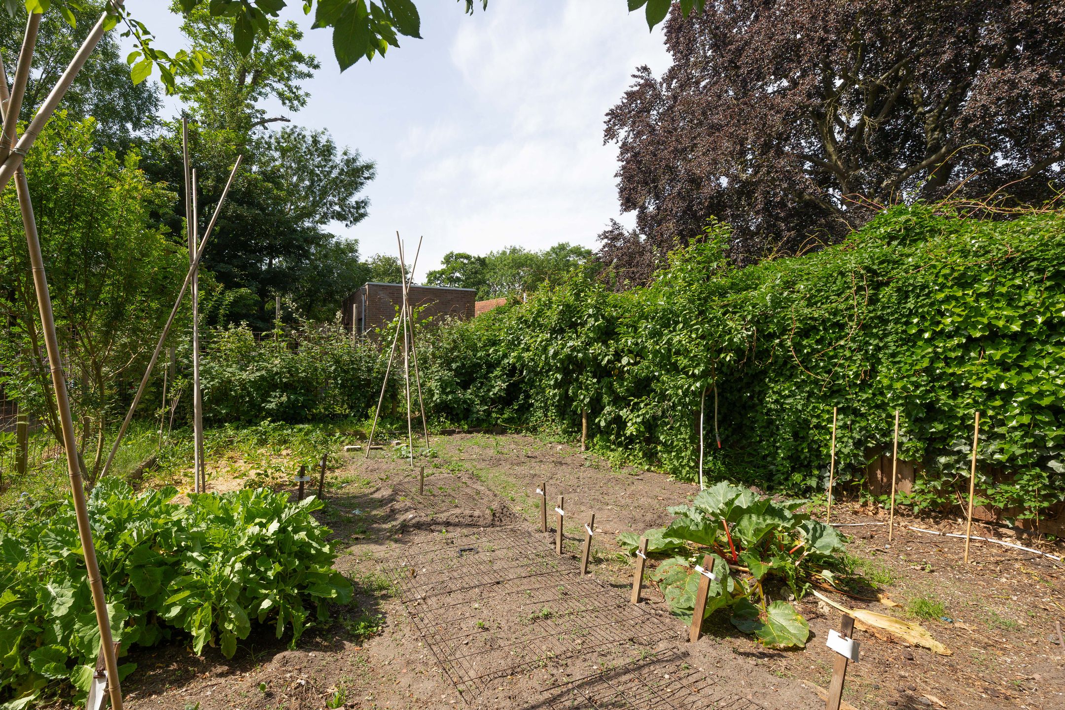 Historic Town Farm near Hotel De Wereld in Wageningen — 27