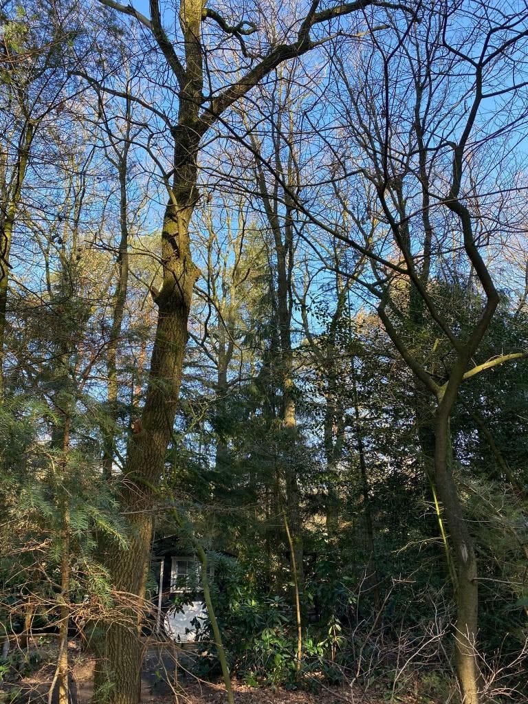 hillestraat - Oost West en Middelbeers - Afbeelding 6