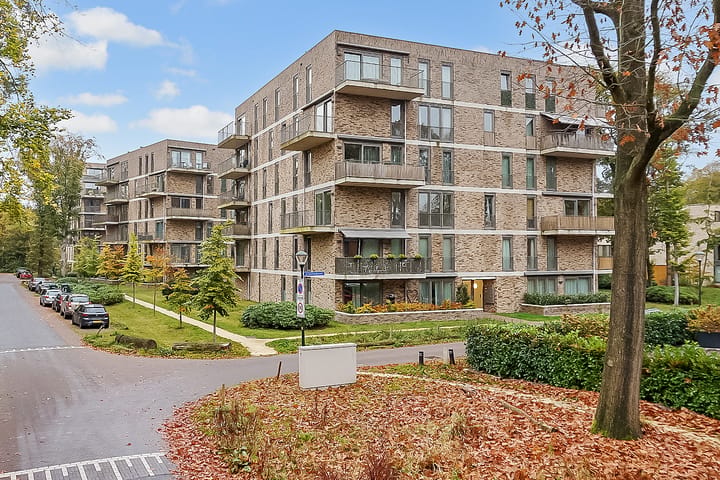 Foto 2 van Struikheidelaan 17