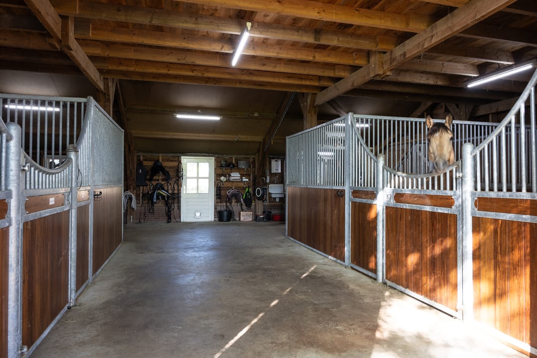 Monumental Farmhouse with Premium Equestrian Facilities in Bergharen — 52