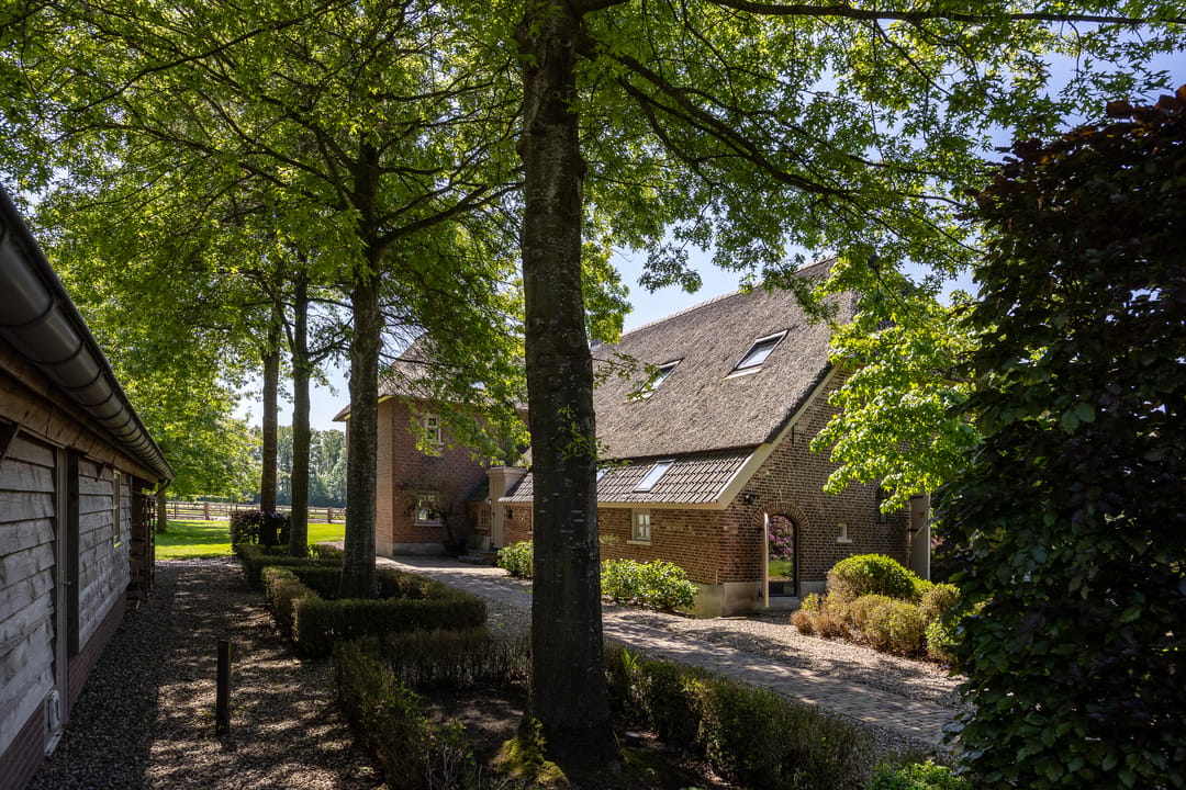 Monumental Farmhouse with Premium Equestrian Facilities in Bergharen — 61
