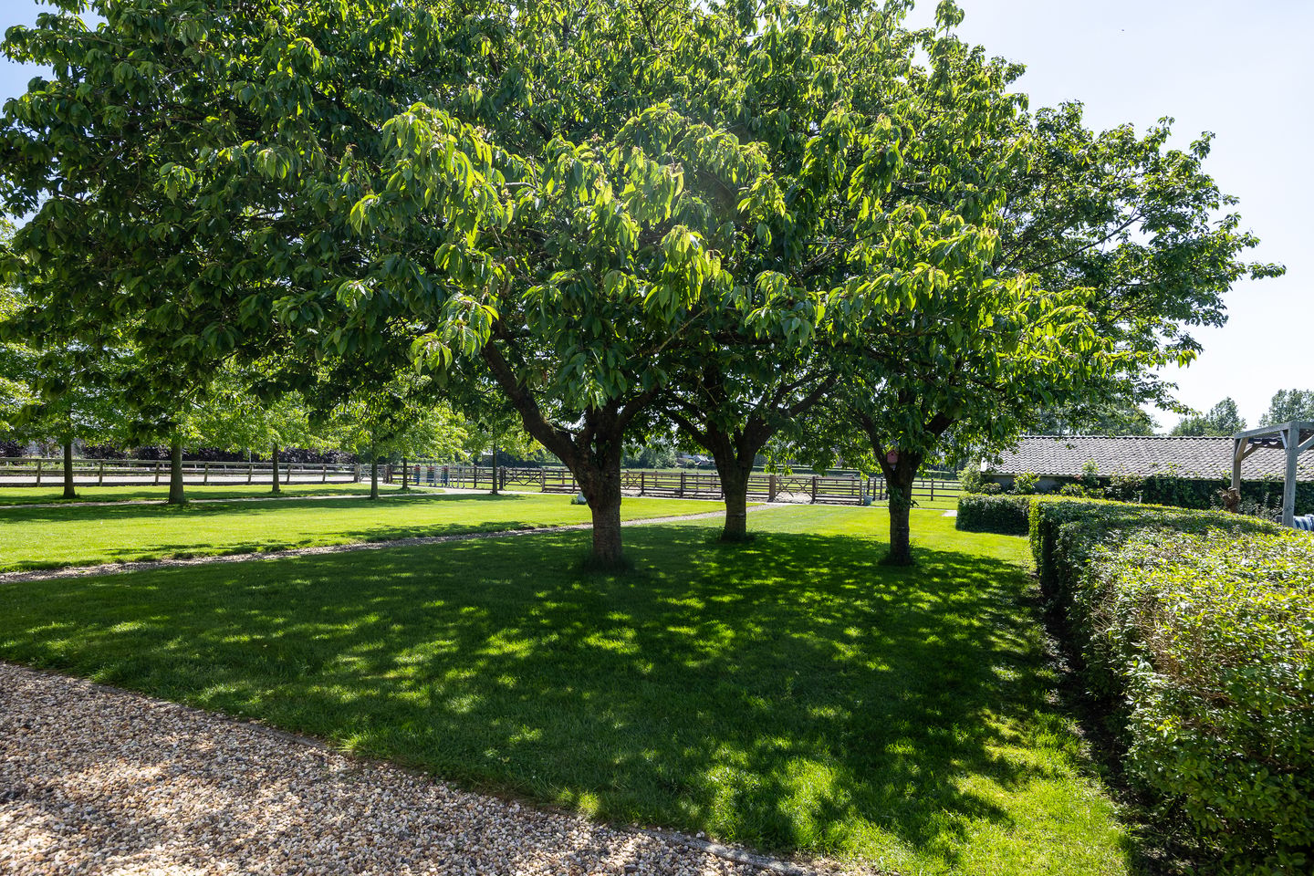 Monumental Farmhouse with Premium Equestrian Facilities in Bergharen — 64