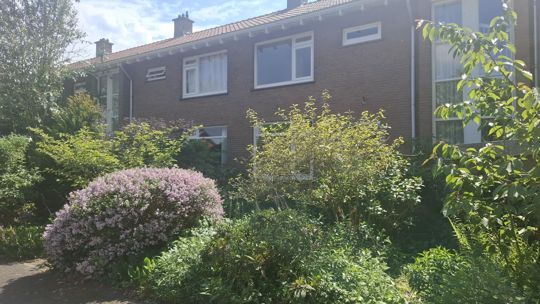 Beekmanstraat 3 