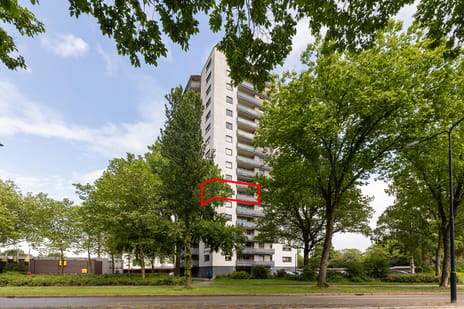 Korianderstraat thumbnail