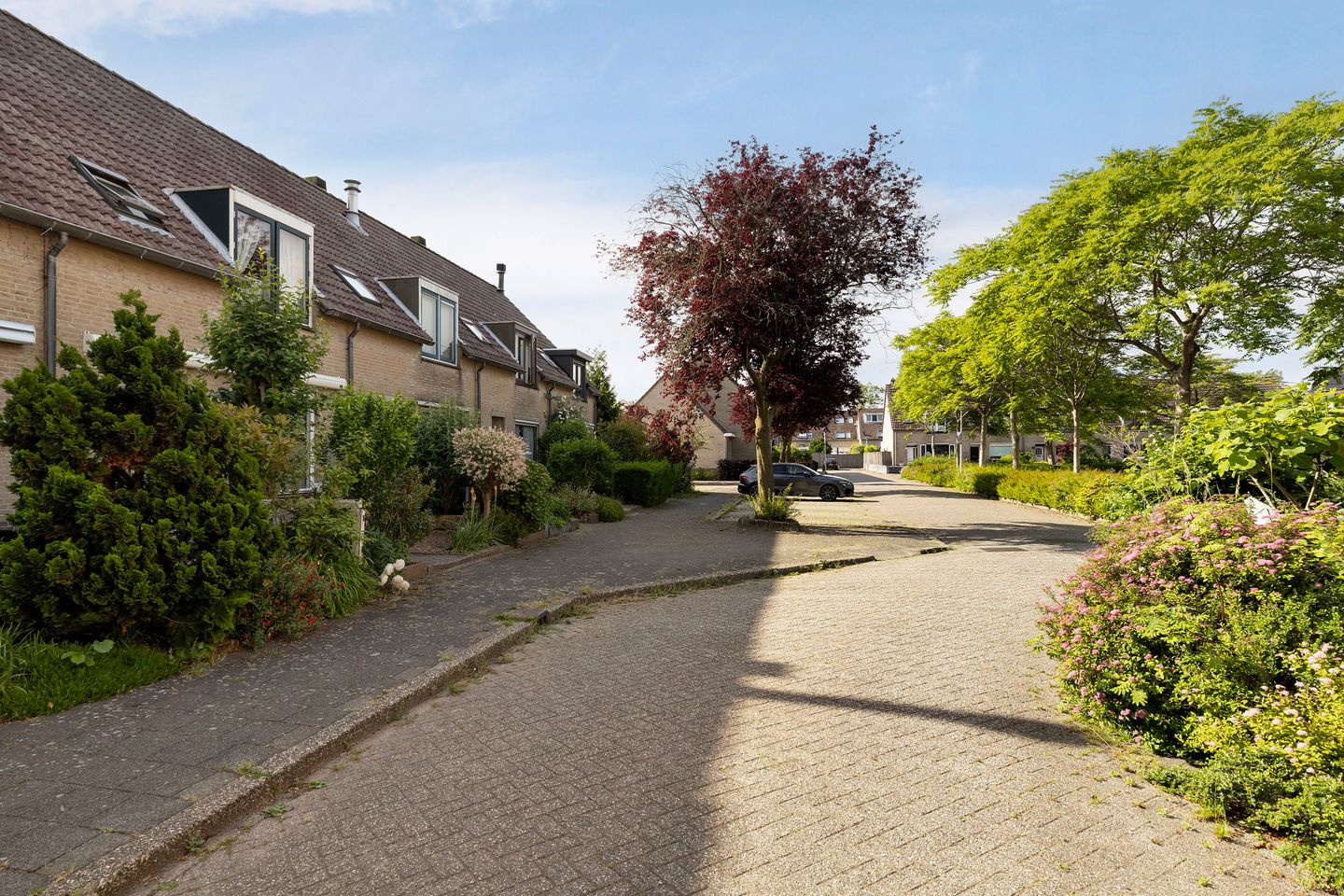 Spacious Family Home with Four Bedrooms in Popular Molenvliet Neighborhood — 34