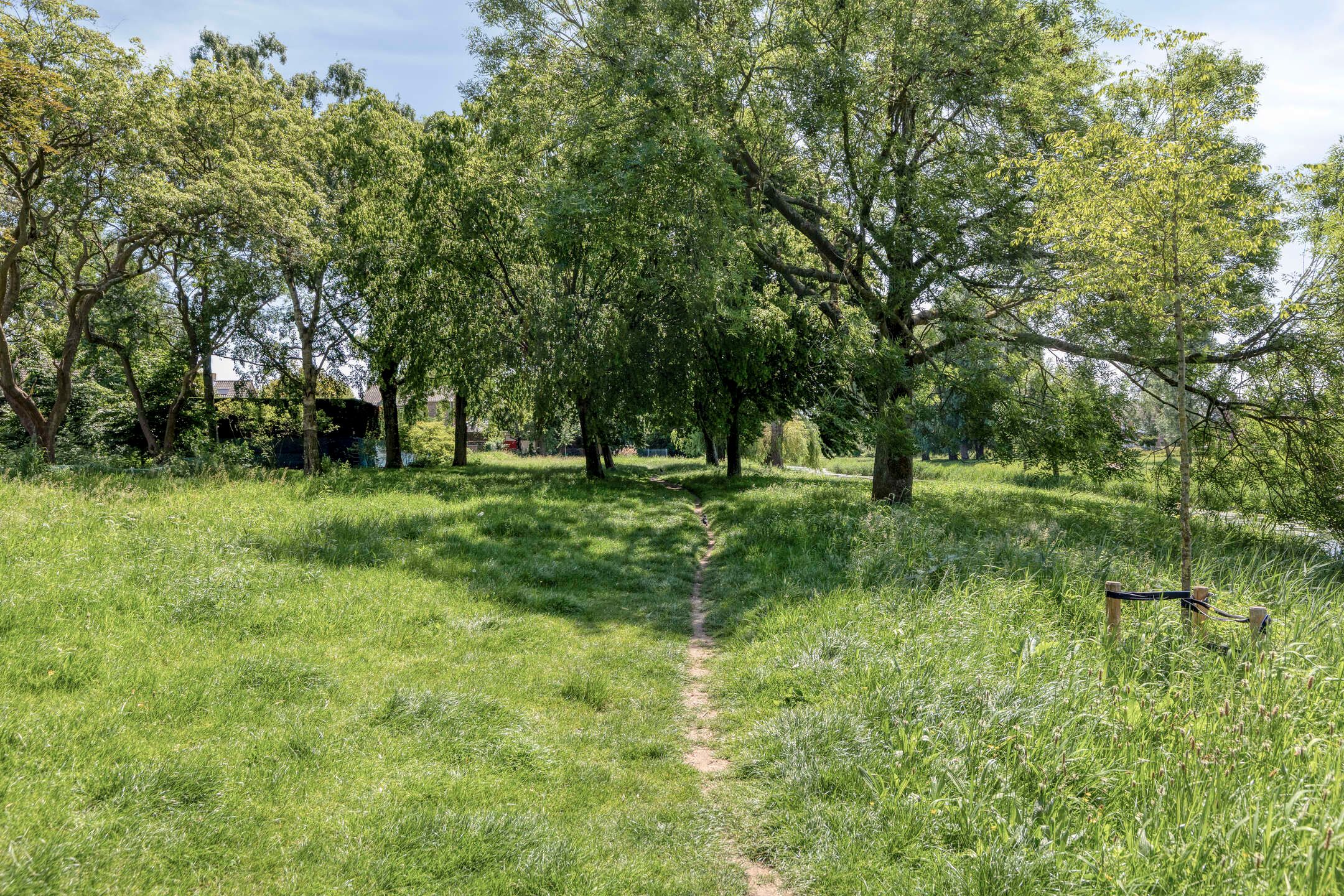 Photo 30 of Vondellaan 39