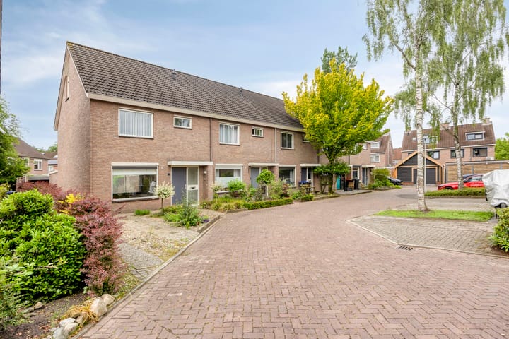 Foto 4 van Gentiaan 11