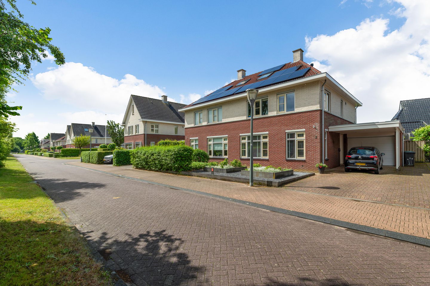 Foto 1 van Wilg 3