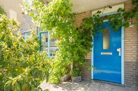 Van der Marckstraat thumbnail