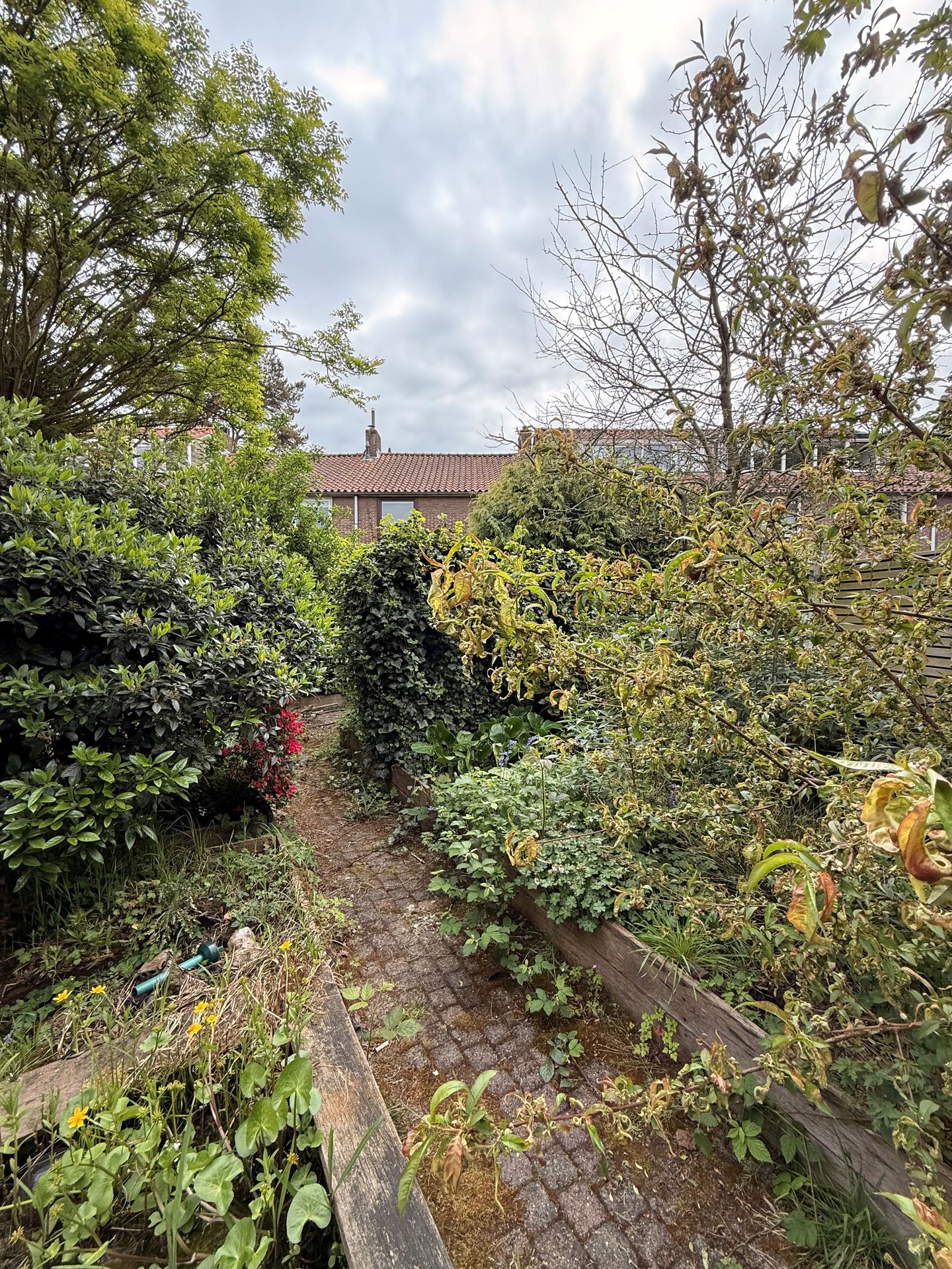 Photo 10 of van der Helstpark 35