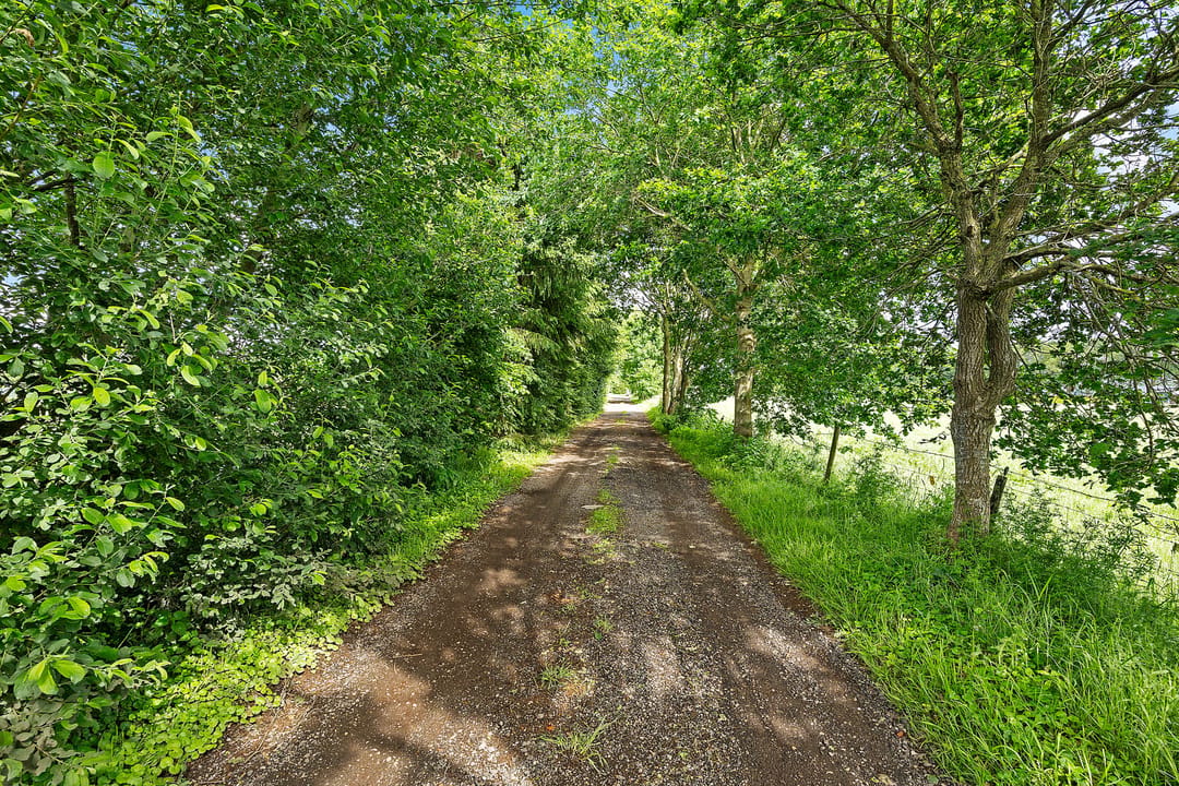 Foto 47 van Meester Pieterswijk 101