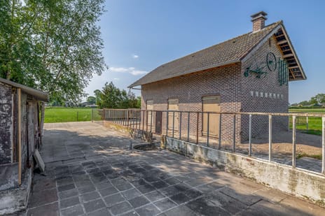 Bekijk foto's