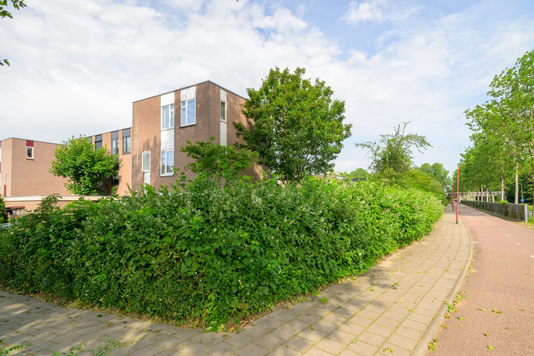 Foto 1 van Hildebrandhove 132