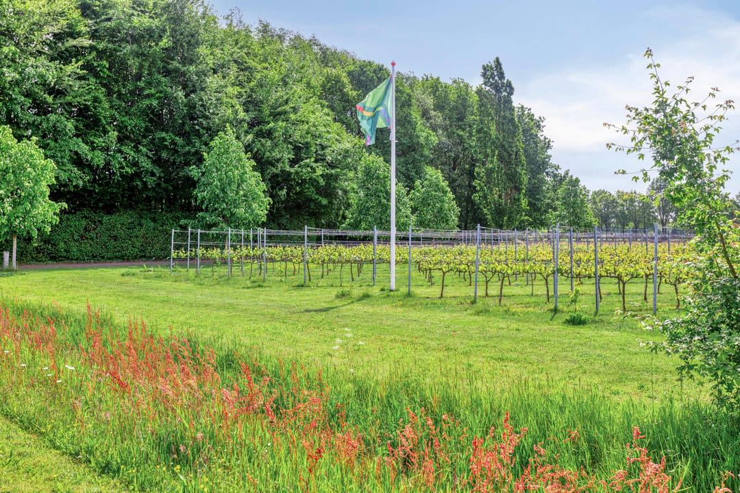Photo 38 of Vragenderweg 64-A