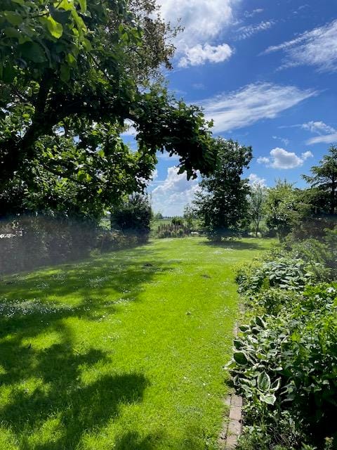 Foto 4 van Neushoornweg 22-B