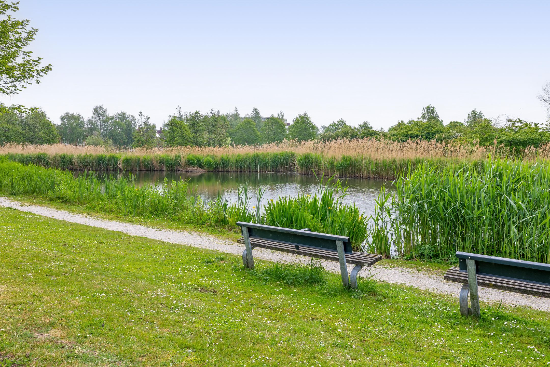 Photo 39 of Parklaan 53