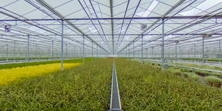 Bekijk 360° foto's