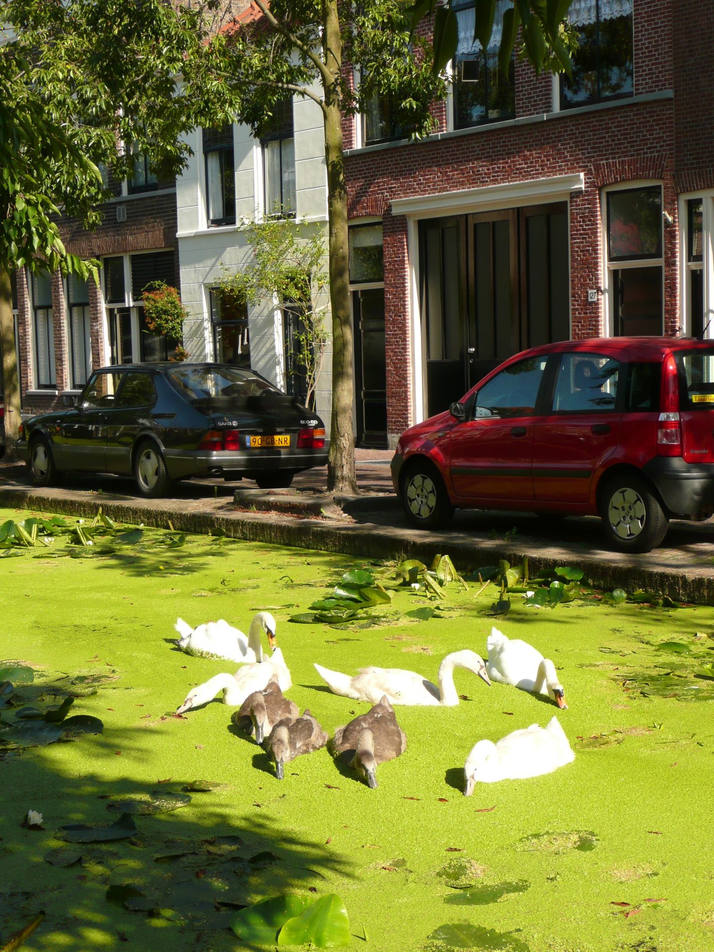 Foto 35 van Rietveld 131
