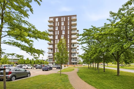 Ambonstraat thumbnail