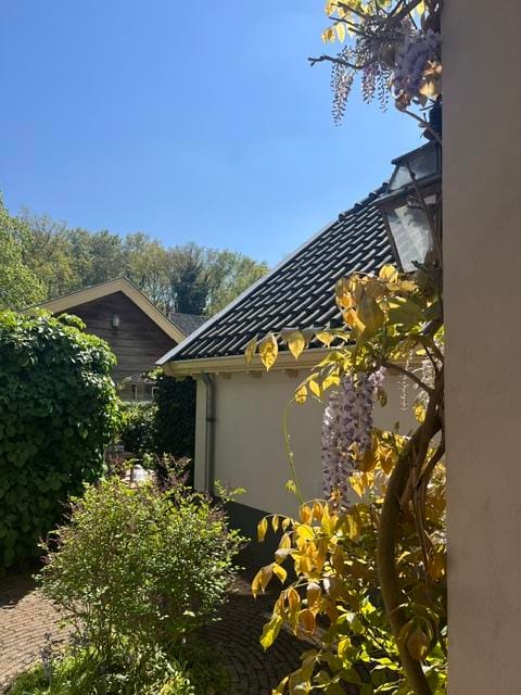 Photo 63 of Dorpsstraat LK 23