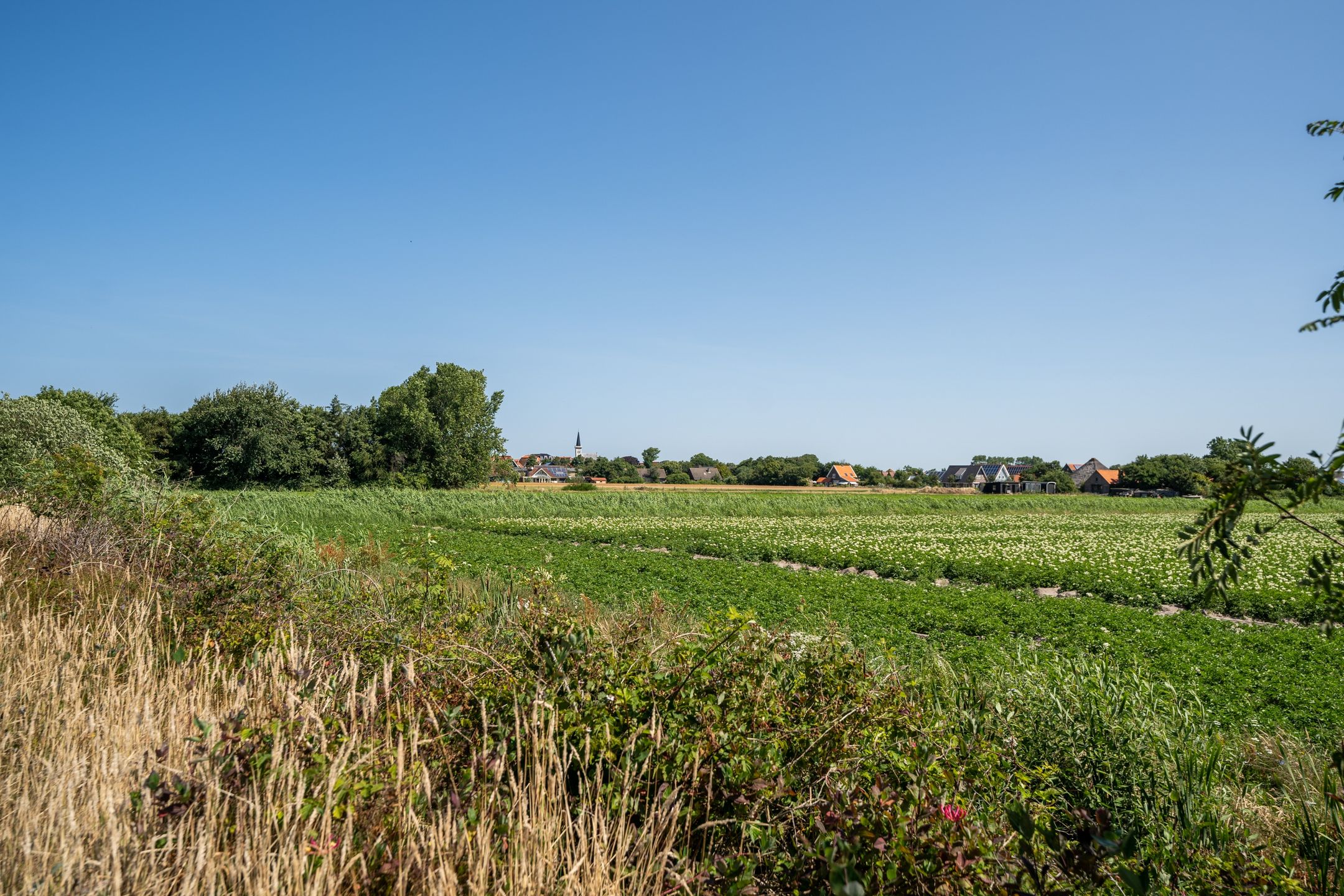 Foto 51 van Rommelpot 19-42