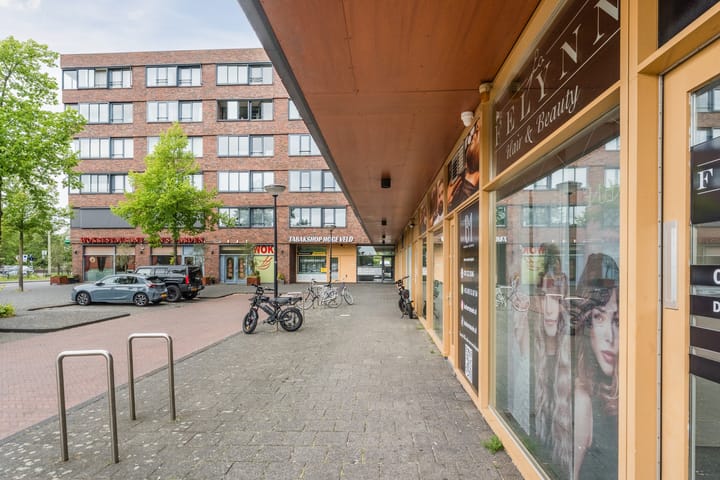 Foto 4 van Laan van Wateringse Veld 82