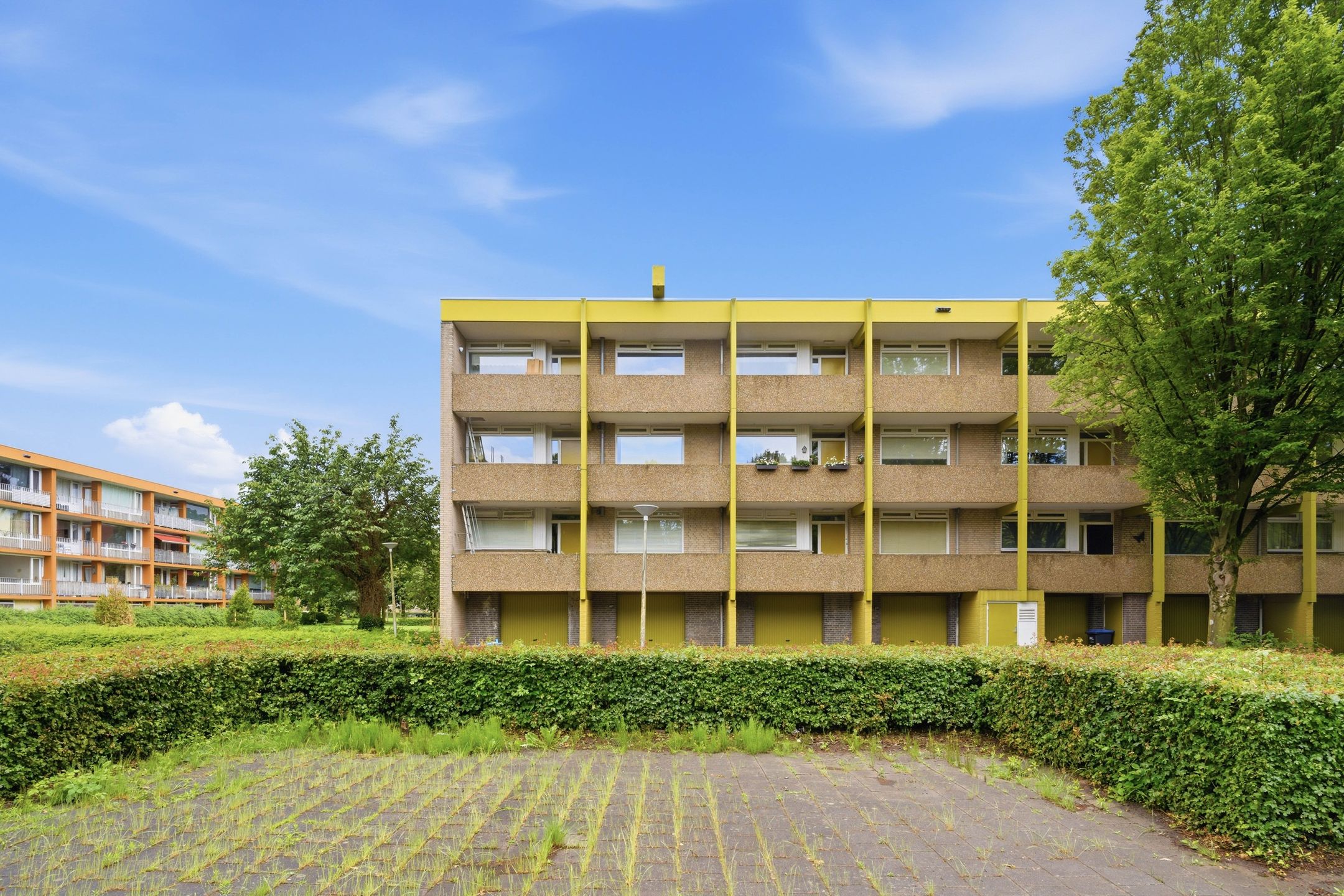 Meijhorst 3131 