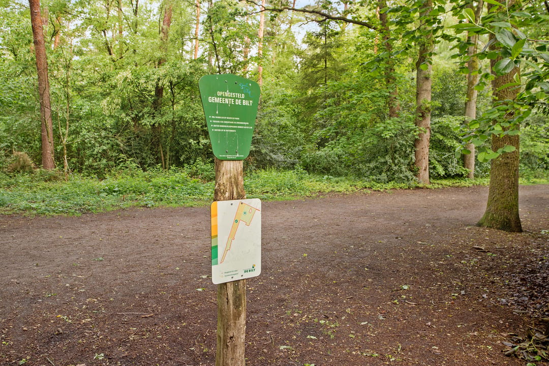 Foto 47 van Elzenlaan 11