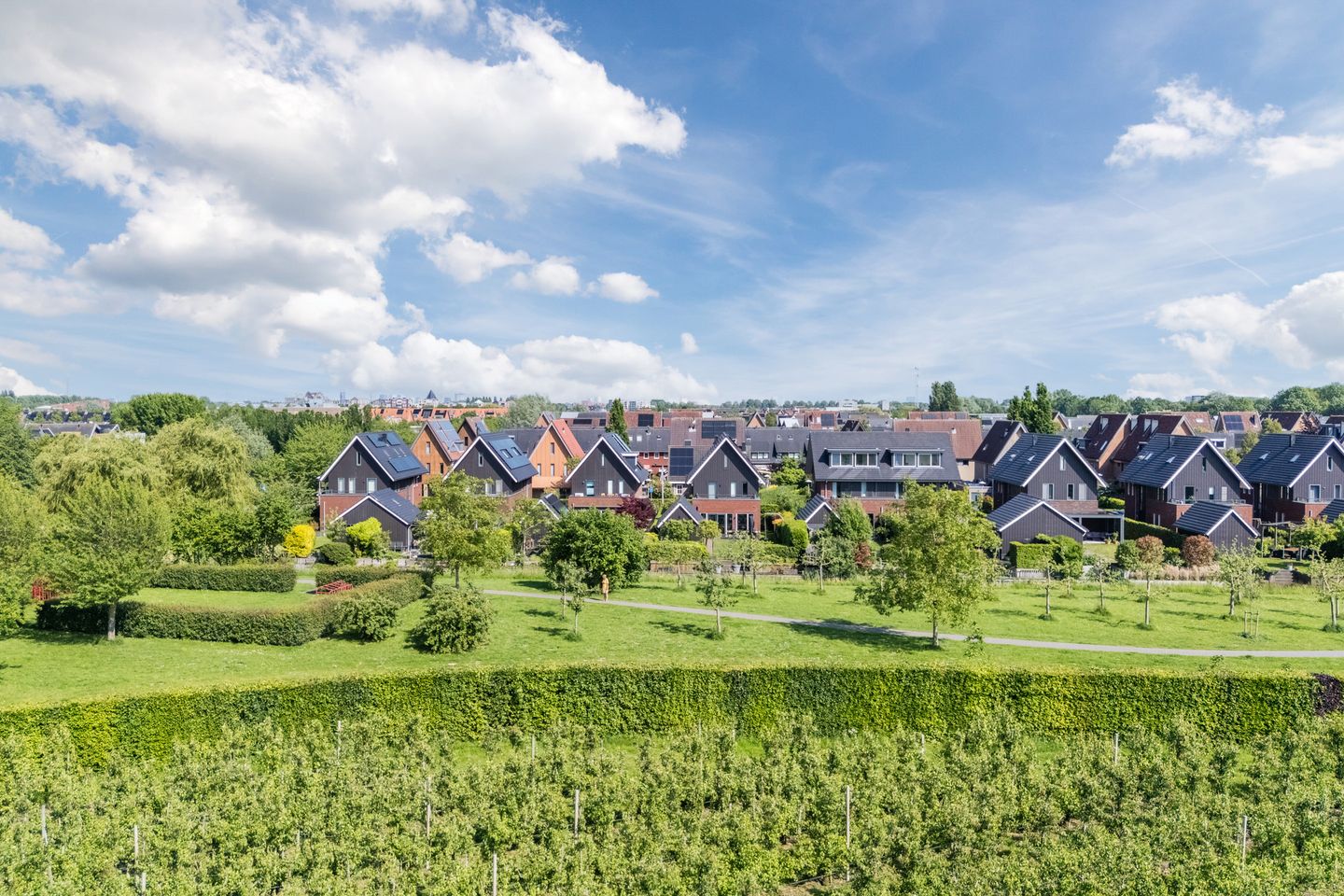 Spacious Semi-Detached Home with Large Waterfront Plot in Vleuterweide — 80